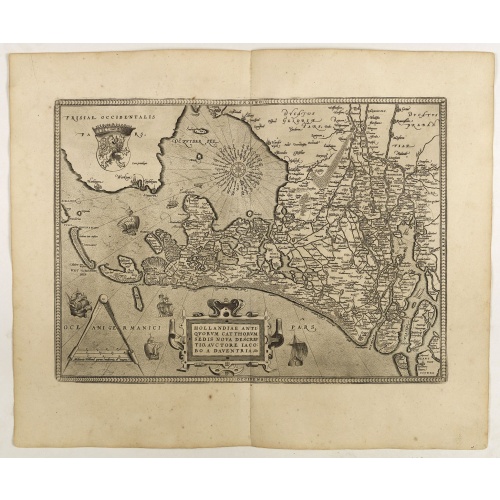 Hollandiae Antiquorum Catthorum..