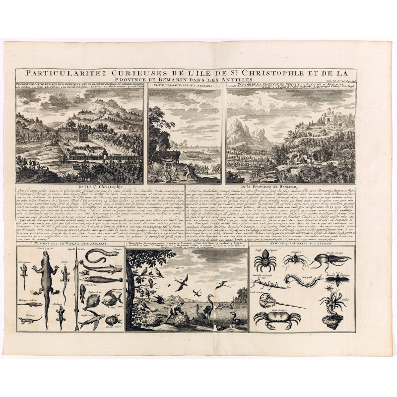 Particularitez Curieuses de l'Ile de St. Christophle et de la Province de Bemarin . . .