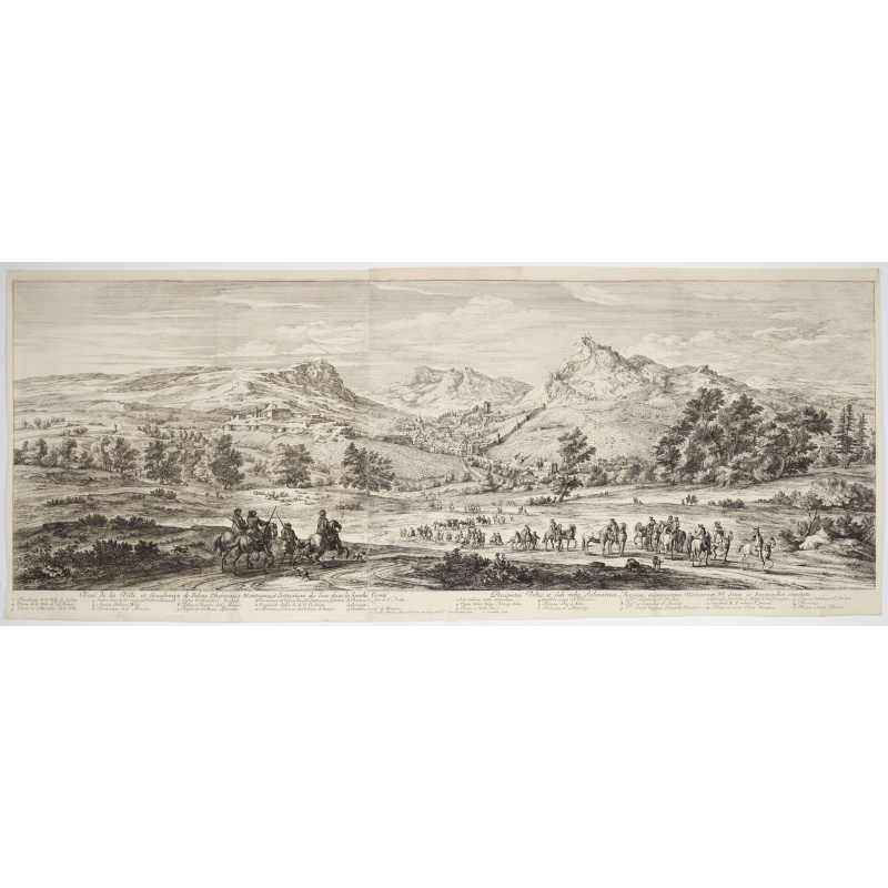 Veue de la ville, et fauxbourg de Salins…